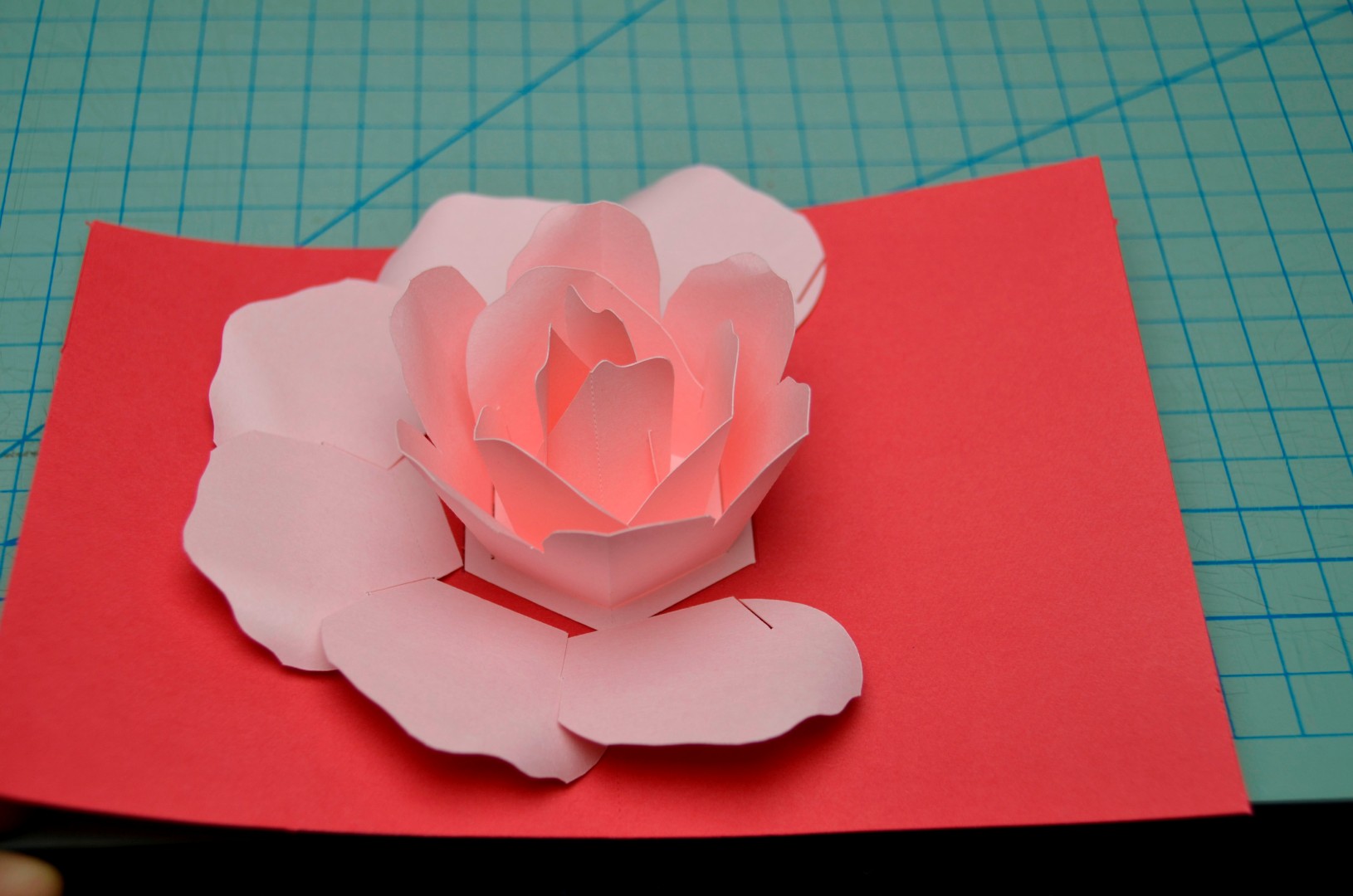 Rose Flower: Rose Flower Pop Up Card Template For Popup Card Template Free