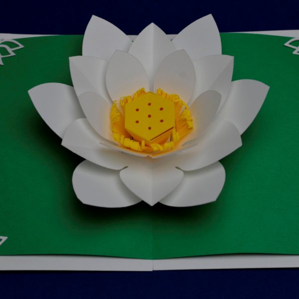 pop up card template
