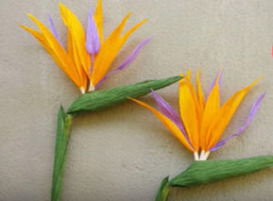 Paper bird of paradise flower