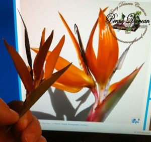 Paper bird of paradise flower