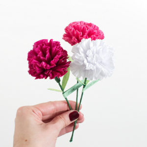 Paper Carnation Flower