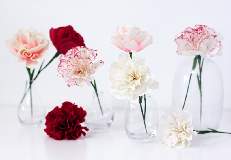 The Ultimate Flower Guide to Carnation Flowers