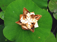 Paper Lotus Flower