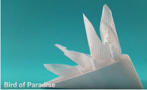 Paper bird of paradise flower